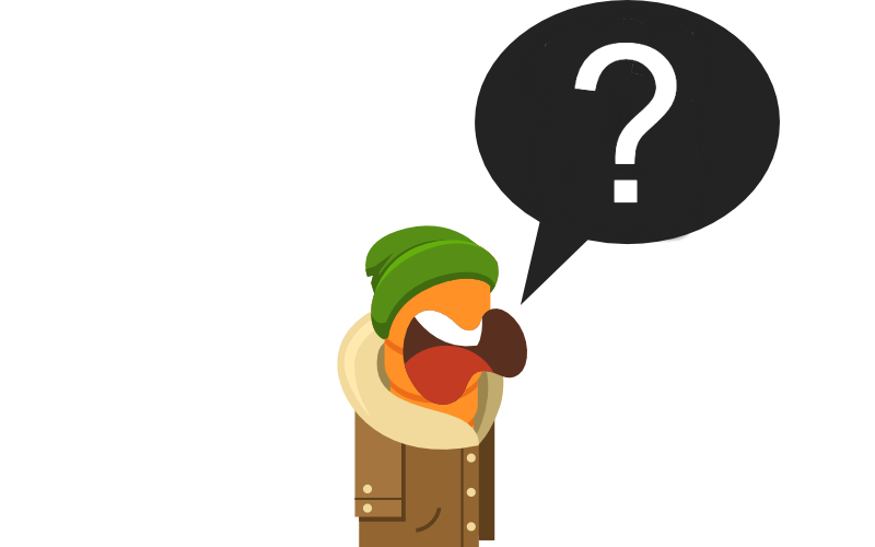 faq illustration